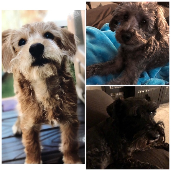 ⚓️Meet your posher, Amy ⚓️ - Picture 4 of 14